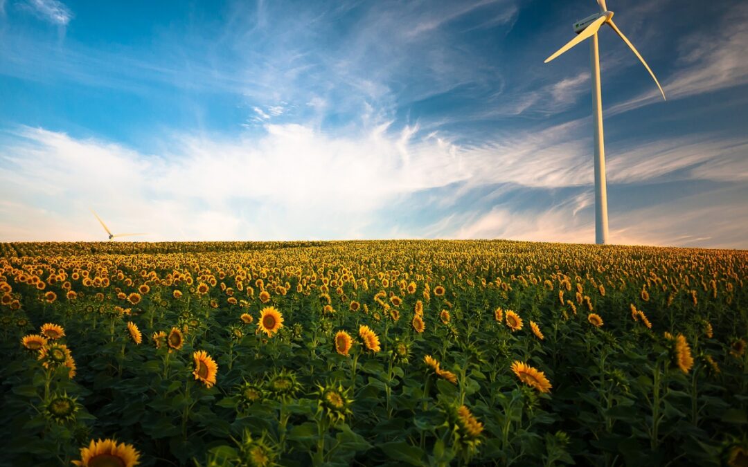 Horst Arnold: Fakten zum Klimaschutz müssen auf den Tisch!