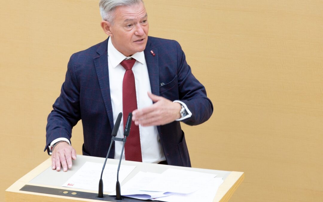 Horst Arnold zur neuen Polizeisoftware: Rechtsstaatlichkeit mehr denn je gefragt